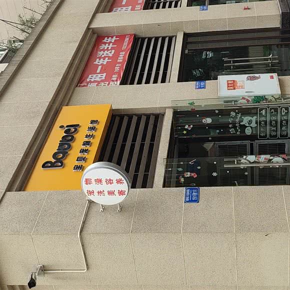 宝贝宠物生活馆:重庆城区大渡口区