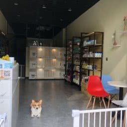 波妞の宠物馆:重庆城区大渡口区