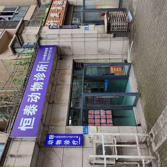 恒泰宠物诊所:重庆城区大渡口区