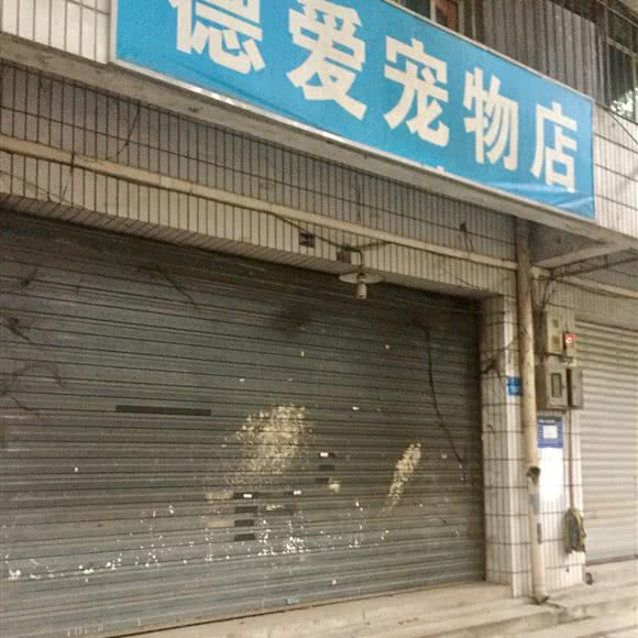 德爱宠物店:重庆城区江北区