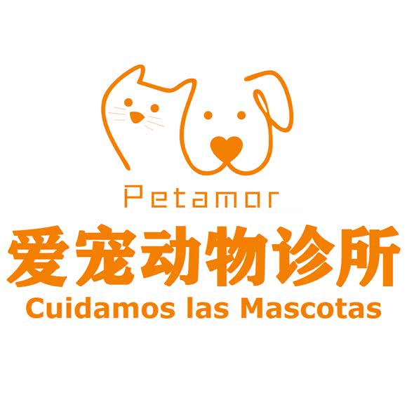 爱宠动物诊所:重庆城区江北区