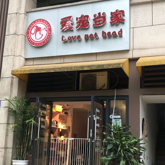 爱宠当家:重庆城区沙坪坝区