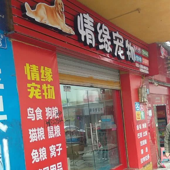 情缘宠物:重庆城区沙坪坝区