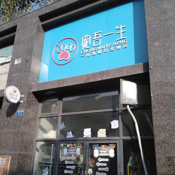 宠吾毕生:重庆城区九龙坡区
