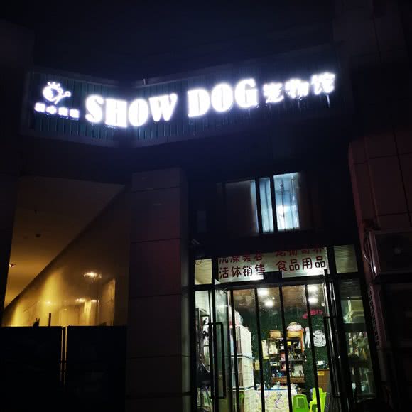 SHOW DOG宠物馆:重庆城区九龙坡区