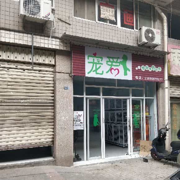 宠爱:重庆城区九龙坡区