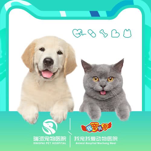 瑞派·我宠我爱动物医院(大东 24小时店):沈阳市大东区东中街附近