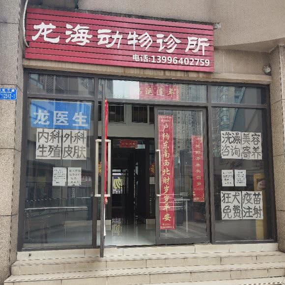 宠物医院:重庆城区九龙坡区
