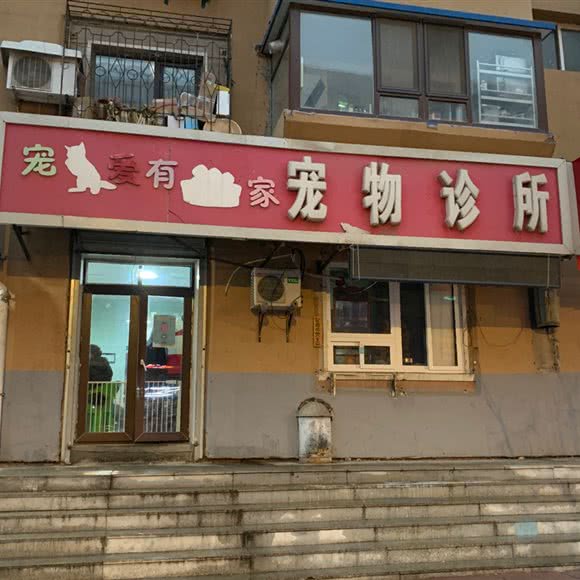 宠爱有家宠物诊所:沈阳市大东区东中街附近