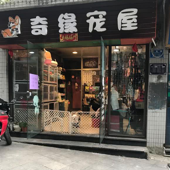 奇缘宠屋:重庆城区南岸区