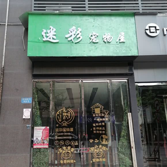 迷彩宠物屋:重庆城区南岸区