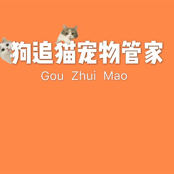 狗追猫宠物管家:重庆城区南岸区