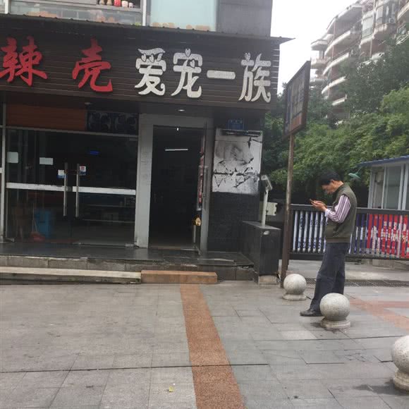 爱宠一族:重庆城区南岸区