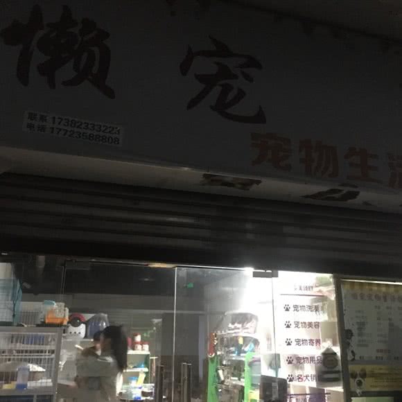 懒宠宠物生活馆:重庆城区南岸区