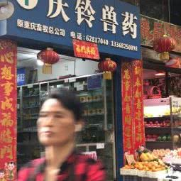 刘新泉宠物医院:重庆城区南岸区