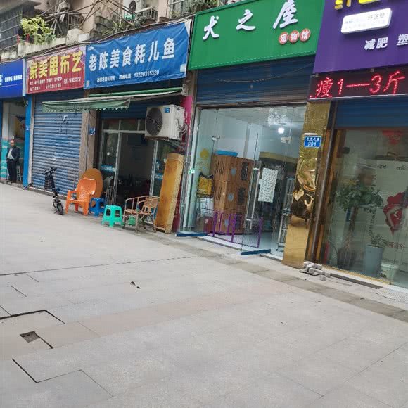 犬之屋宠物馆:重庆城区綦江区
