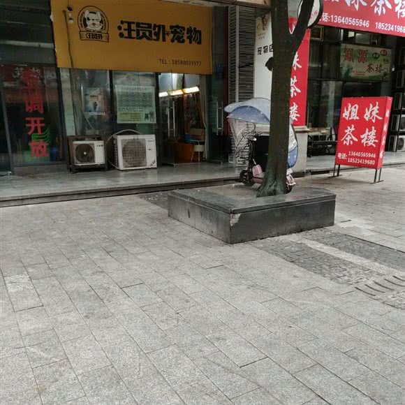 汪员外宠物:重庆城区綦江区