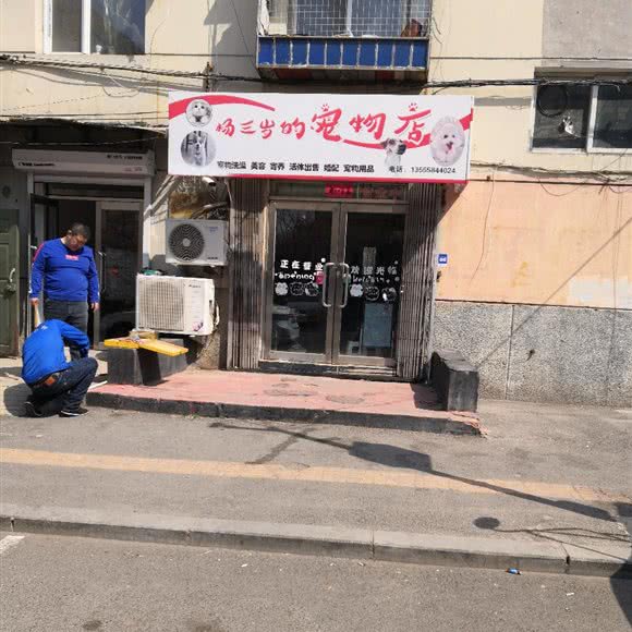 杨三岁的宠物店:沈阳市大东区小北附近