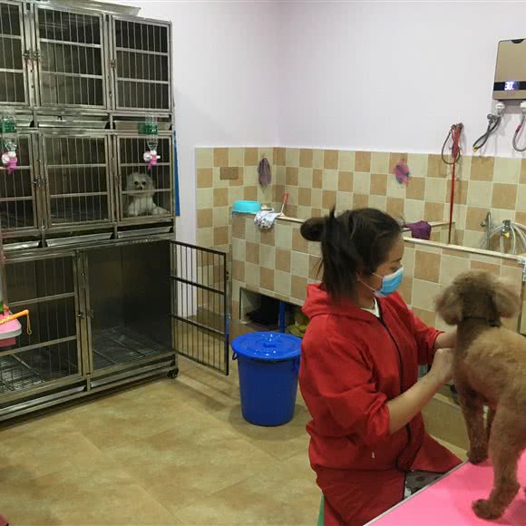 Timi提咪宠物店:重庆城区綦江区