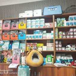 皇佳爱宠:重庆城区綦江区