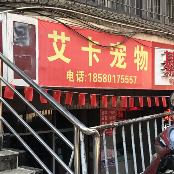 艾卡宠物:重庆城区綦江区