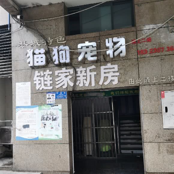 猫狗宠物:重庆城区綦江区