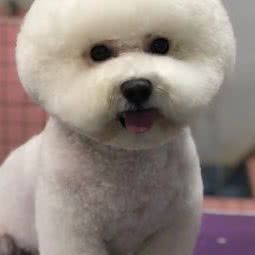 阿猫阿狗:重庆城区綦江区