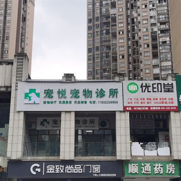 宠悦宠物医院:重庆城区綦江区
