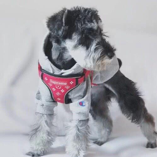 小五郎の咖啡店:重庆城区渝北区