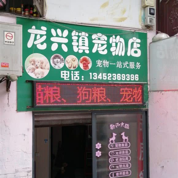 龙兴镇宠物店:重庆城区渝北区