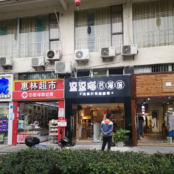 逗逗猫名猫馆:重庆城区渝北区