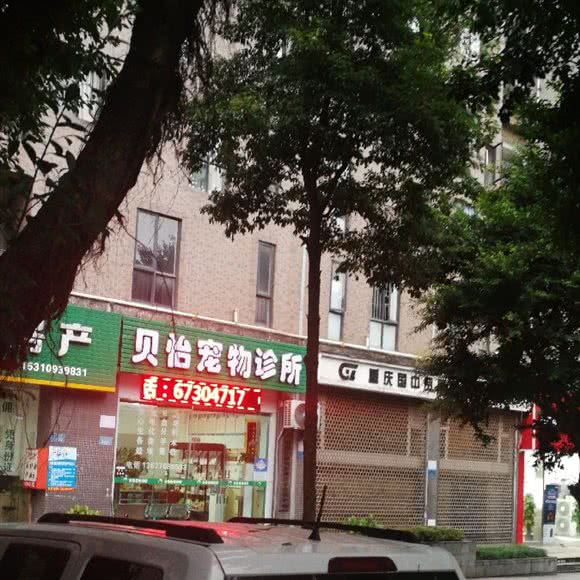 贝怡宠物医院:重庆城区渝北区