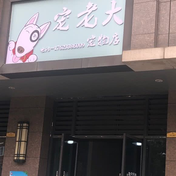 宠老大宠物店:重庆城区巴南区