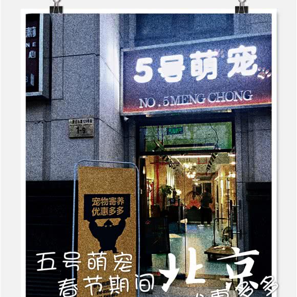 五号萌宠宠物寄养:北京城区朝阳区石佛营附近