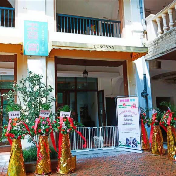 米米豆豆宠屋(十里蓝山店):重庆城区巴南区