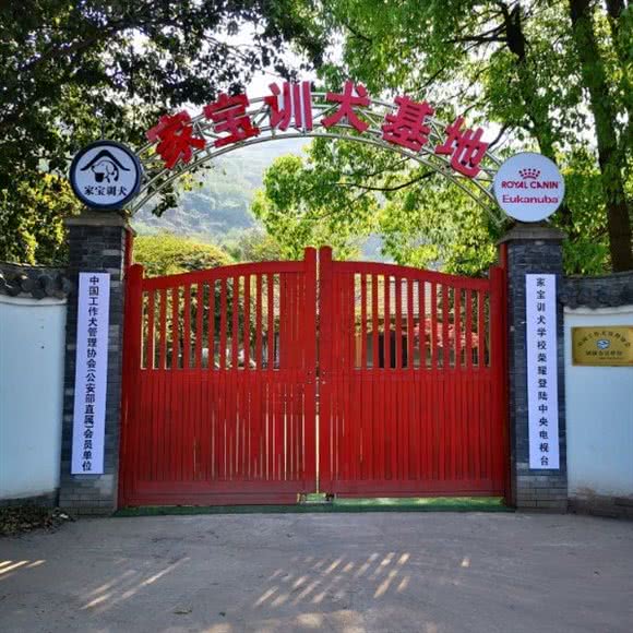 家宝训犬学校:重庆城区巴南区