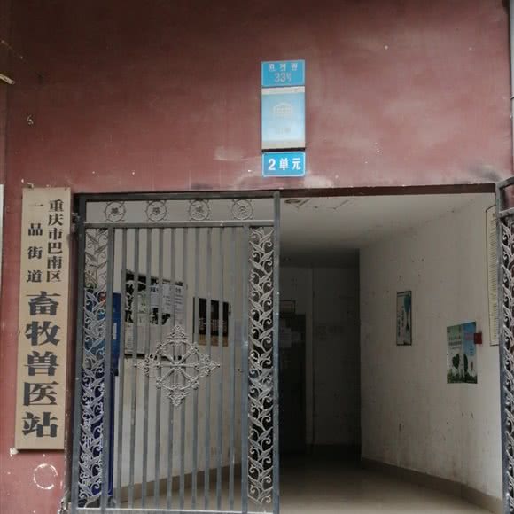 重庆市巴南区一品街道畜牧兽医站:重庆城区巴南区