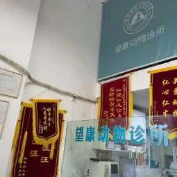 江津望康动物诊所:重庆城区江津区