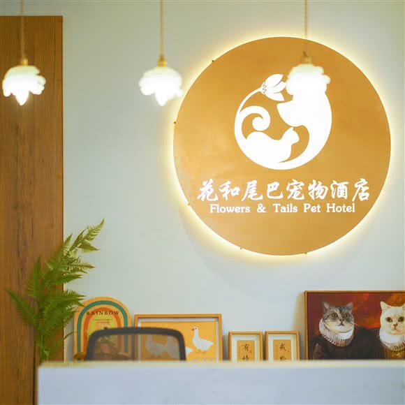 花和尾巴宠物酒店:沈阳市大东区东站附近