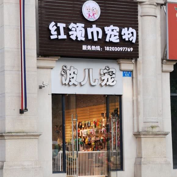 红领巾宠物:重庆城区永川区