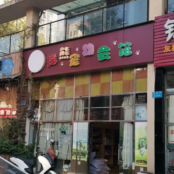 洋熊宠物会馆:重庆城区南川区