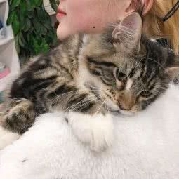 自然地带宠物园:重庆城区铜梁区