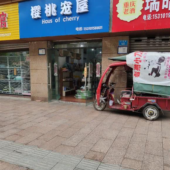 樱桃宠屋:重庆城区铜梁区