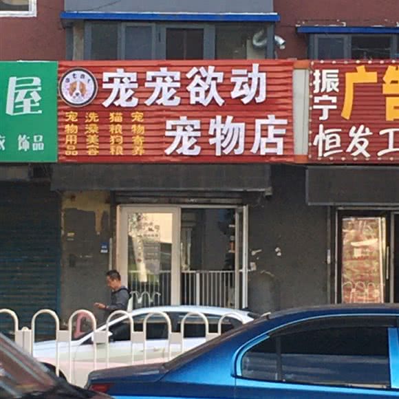 宠宠欲动宠物店:沈阳市大东区大东广场附近