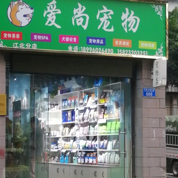 爱尚狗狗:重庆城区潼南区