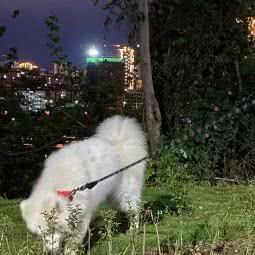 谐和爱宠会馆:重庆城区潼南区