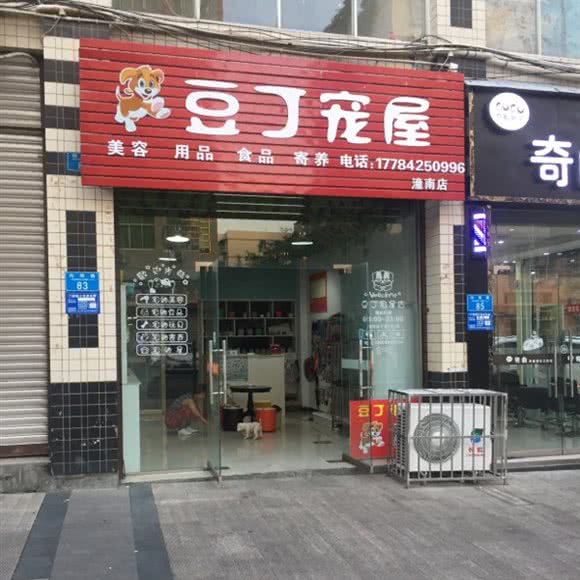 豆丁宠物(潼南店):重庆城区潼南区