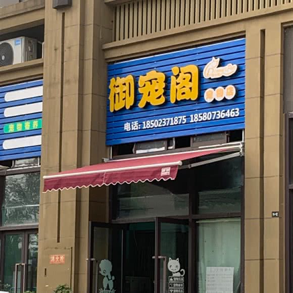 御宠阁宠物店:重庆城区潼南区