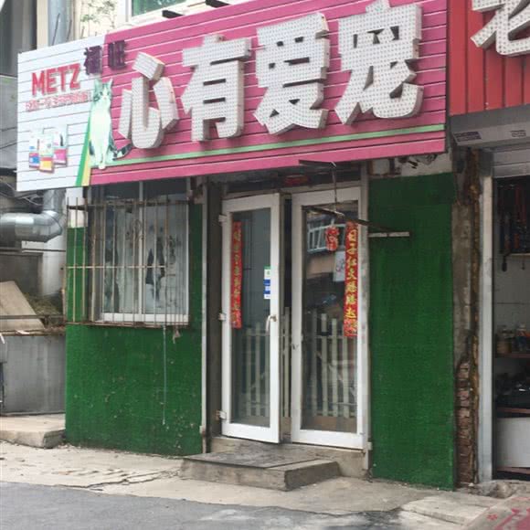 福旺心有爱宠:沈阳市大东区大东广场附近