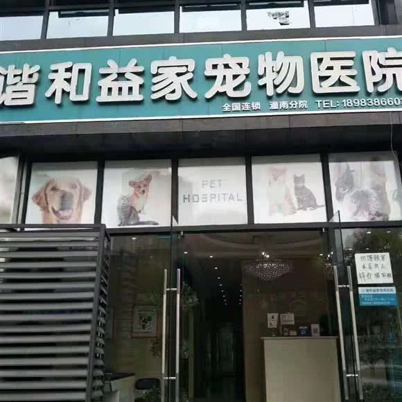 谐和益家宠物医院:重庆城区潼南区